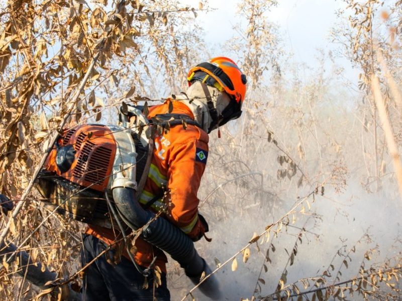 Seis incêndios florestais são combatidos pelo Corpo de Bombeiros em MT