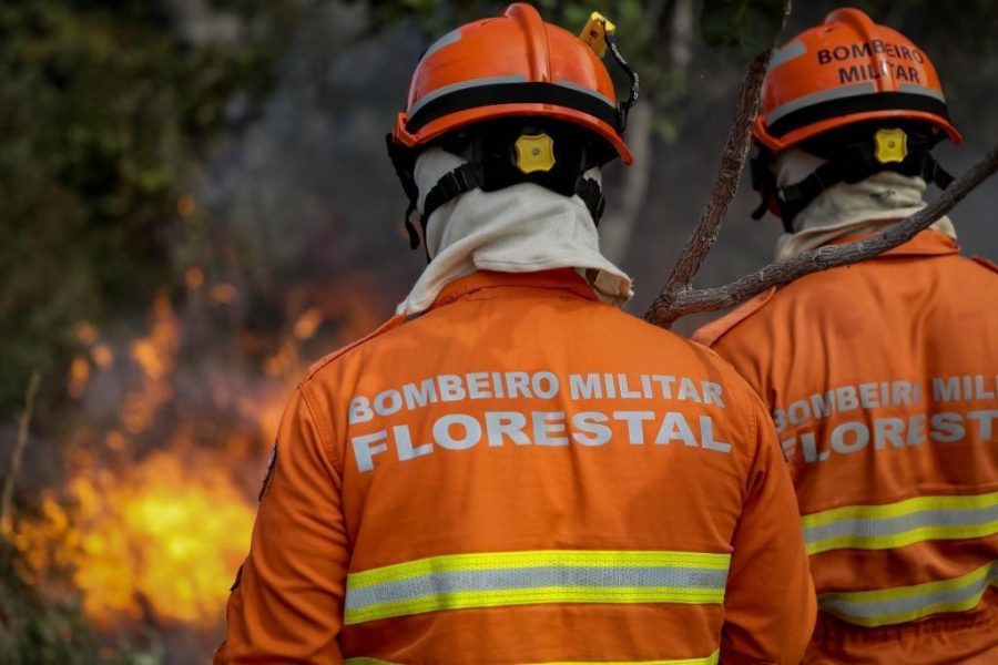 Corpo de Bombeiros combate três incêndios florestais nesta segunda-feira (12)