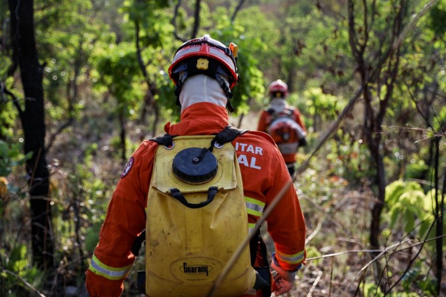 Corpo de Bombeiros combate três incêndios florestais neste domingo (11)