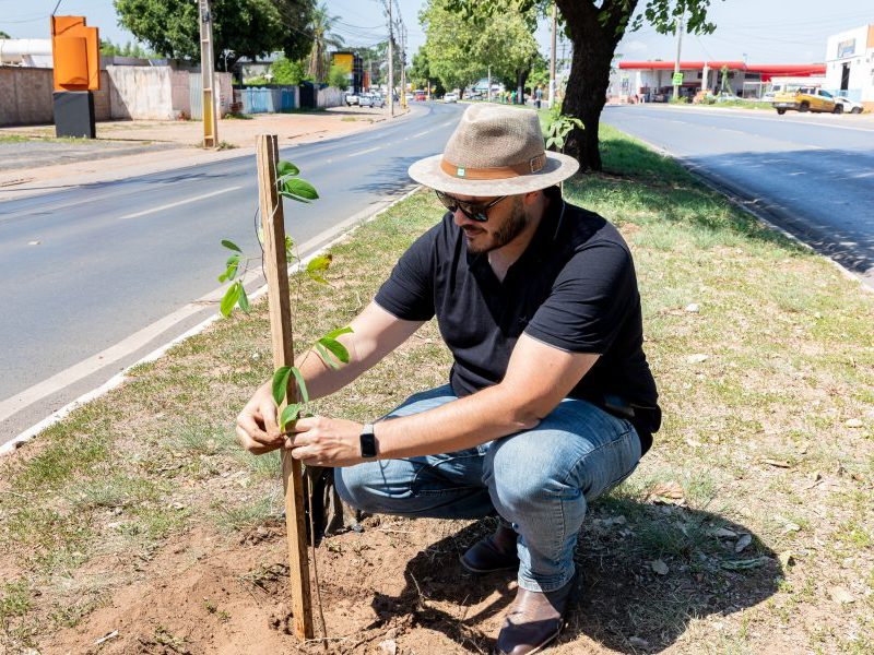Cuiabá supera marca de mil árvores plantadas em outubro