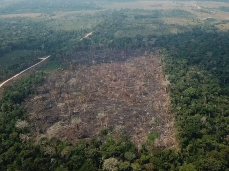 Desmatamento na Amazônia atinge menor nível em 38 anos com queda de 41,8%