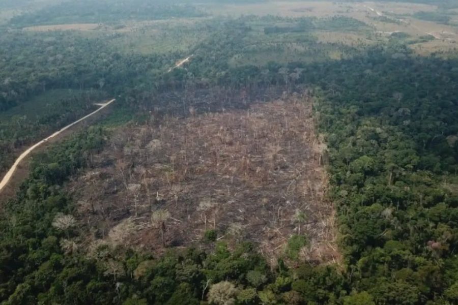 Desmatamento na Amazônia cai 41,8% e atinge menor nível em 38 anos