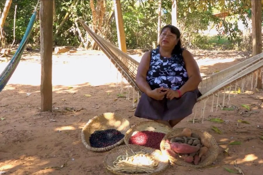 Do interior de MT para as telas do Rio: filmes de mulheres indígenas ganham destaque em mostra nacional