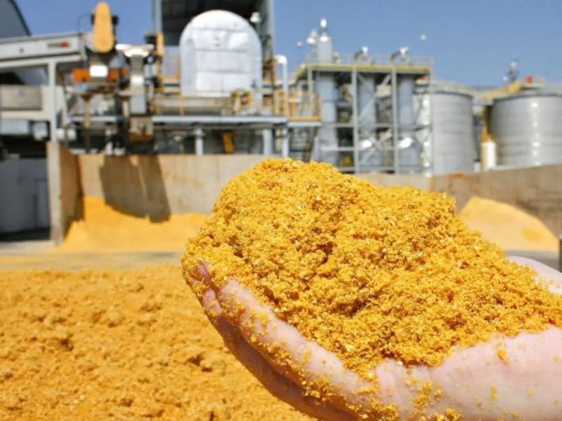 China lidera importações de DDG de Mato Grosso com 88% em setembro