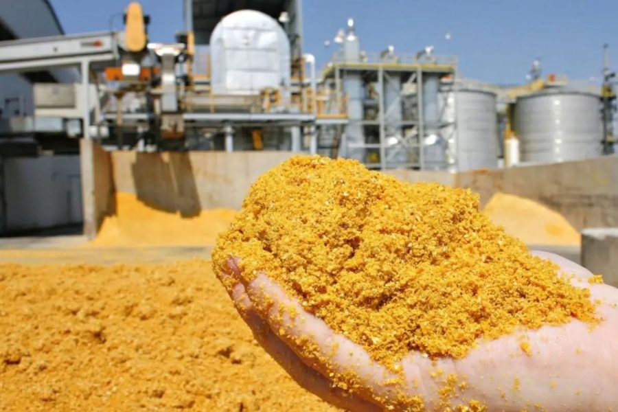 Do milho ao mercado chinês: país asiático concentra quase 64% das exportações de DDG de Mato Grosso