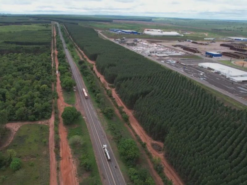 Duplicação da BR-262 e pedágio da Rota da Celulose começam em 2027