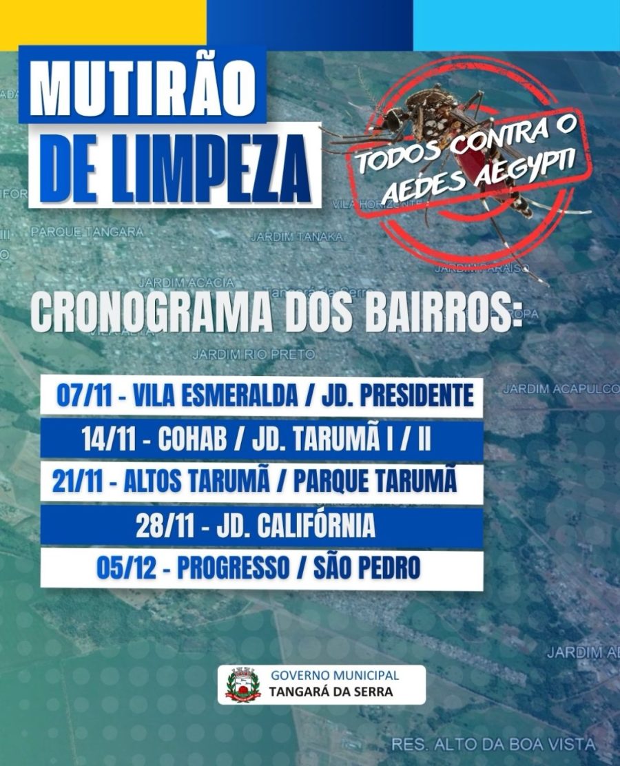EM DOIS MUTIRÕES - Município recolhe 35 toneladas de materiais inservíveis em dois mutirões contra a dengue