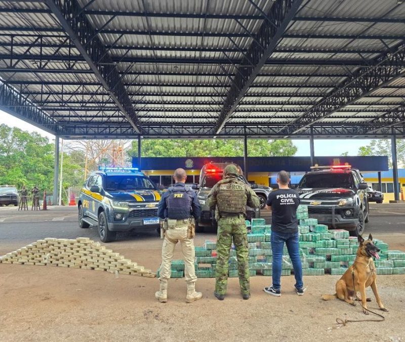 Milhares em prejuízo: 550 quilos de cocaína são apreendidos