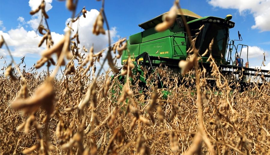 Imea aponta impacto da alta do diesel nos custos de produção e transporte da soja em Mato Grosso