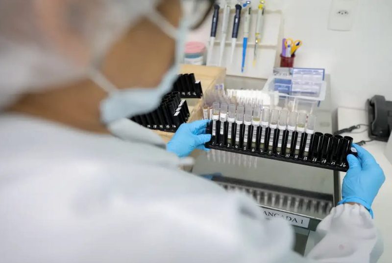 Anvisa aprova testes da vacina brasileira contra malária em humanos