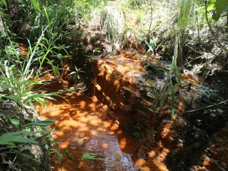 MP de Mato Grosso mapeia 918 nascentes e protege vastas áreas verdes