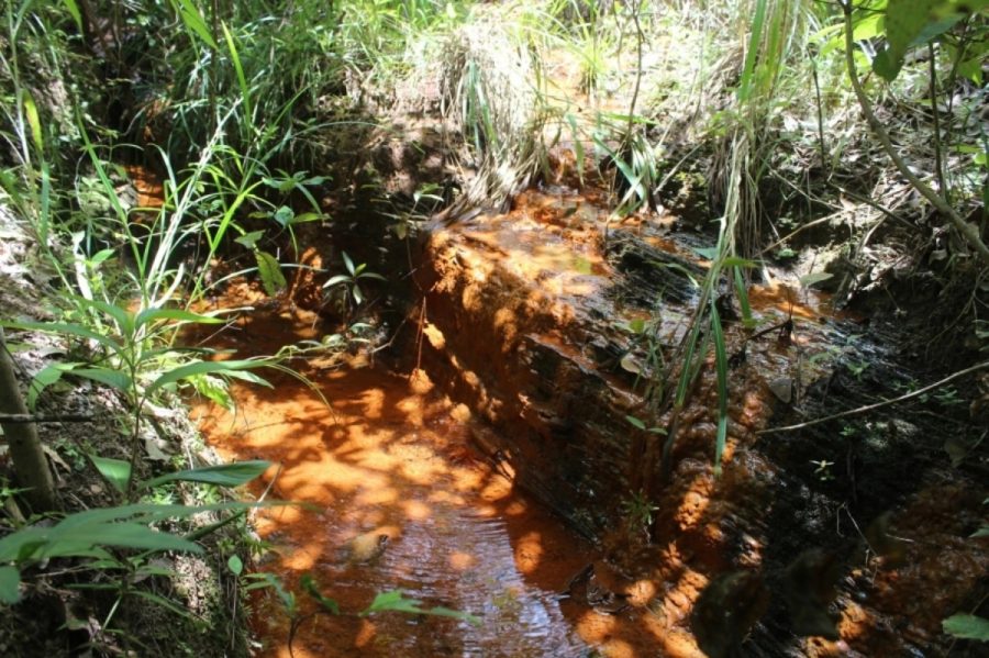 MP de Mato Grosso mapeia 918 nascentes e protege vastas áreas verdes