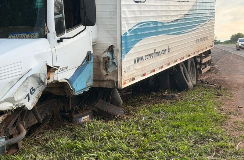 Motorista perde a vida em colisão com caminhão na BR-060