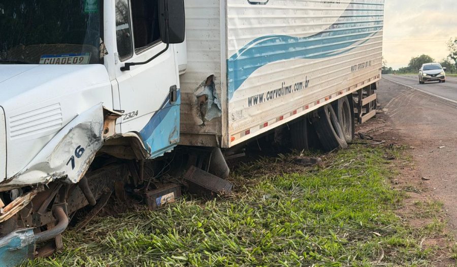 Motorista perde a vida em colisão com caminhão na BR-060