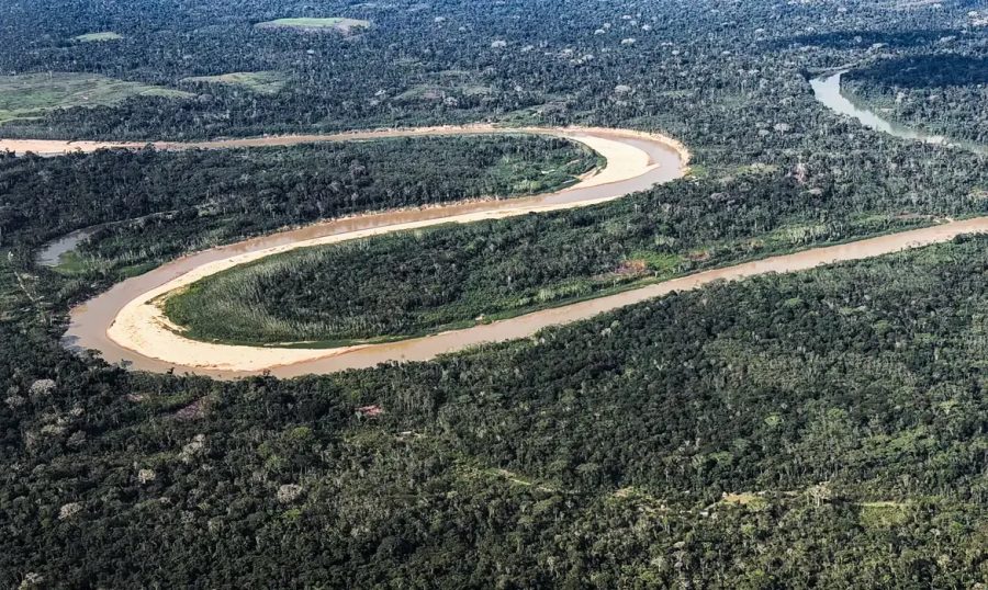 Países Baixos anunciam US$ 500 milhões para fundo florestal