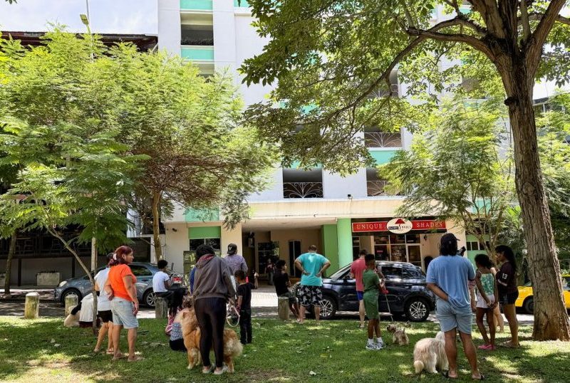 Terremoto de 7,6 atinge o Panamá, com tremores sentidos na região