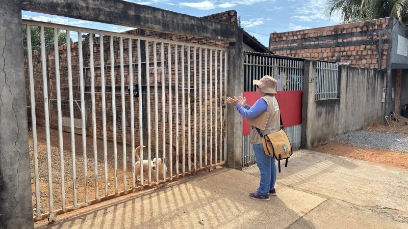 Sinop intensifica combate à dengue com inspeções em 20 mil imóveis