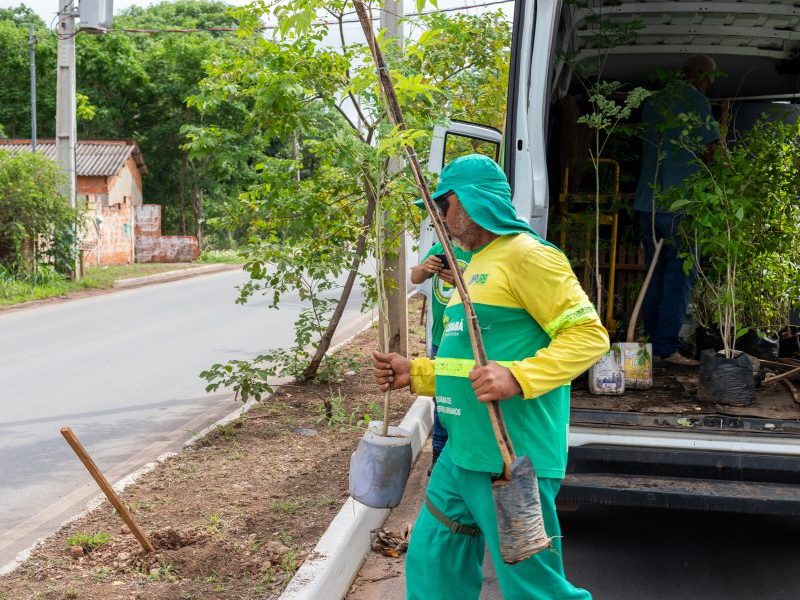 Cuiabá promove plantio de 150 árvores no bairro Pedra 90