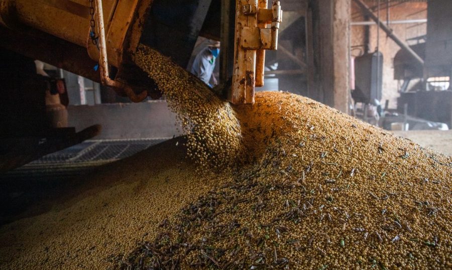 Produção de grãos no Brasil deve crescer 1,4% mesmo com El Niño