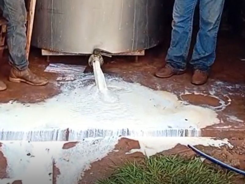 Produtores de leite perdem quase mil litros após falhas elétricas