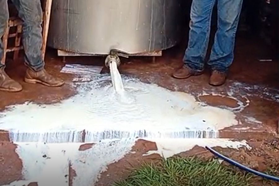 Produtores de leite perdem quase mil litros após falhas elétricas