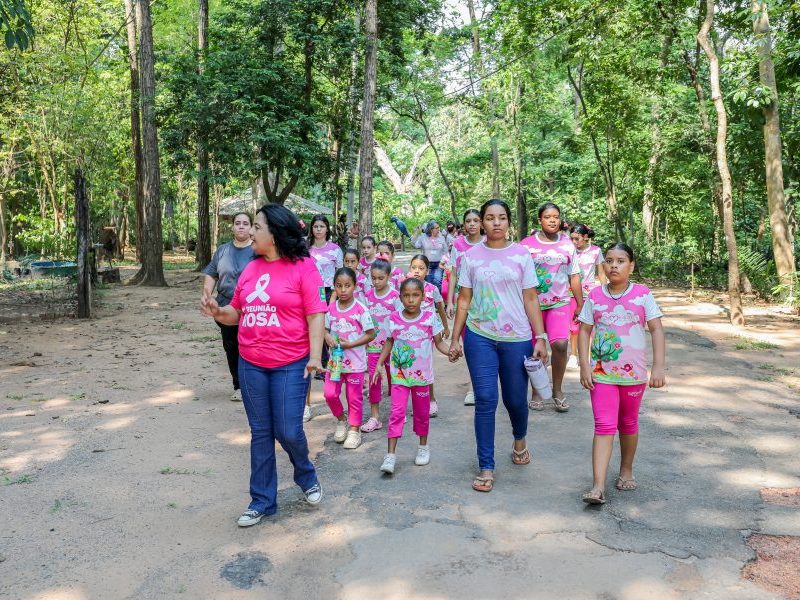 Dia das Crianças: Programa Siminina promove atividades no Horto Florestal
