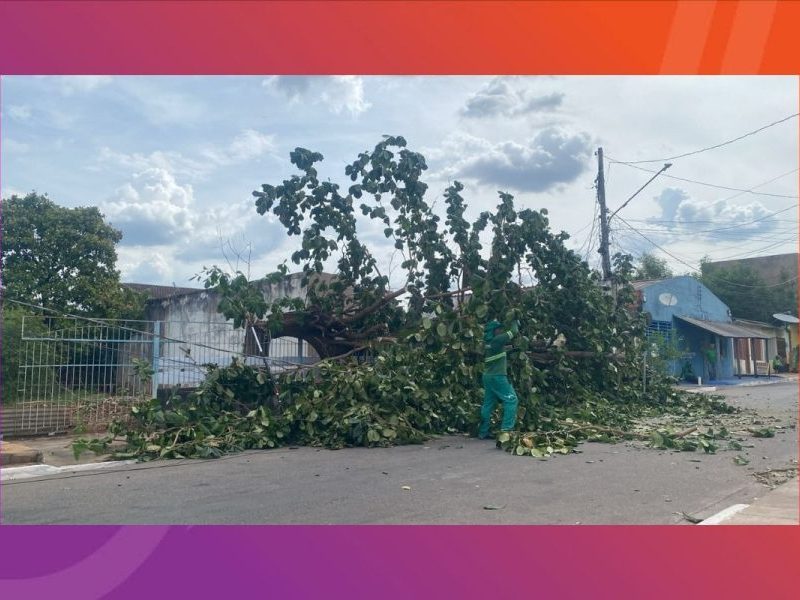 Queda de árvore em fiação deixa moradores de bairro em Várzea Grande três dias sem energia durante calor intenso