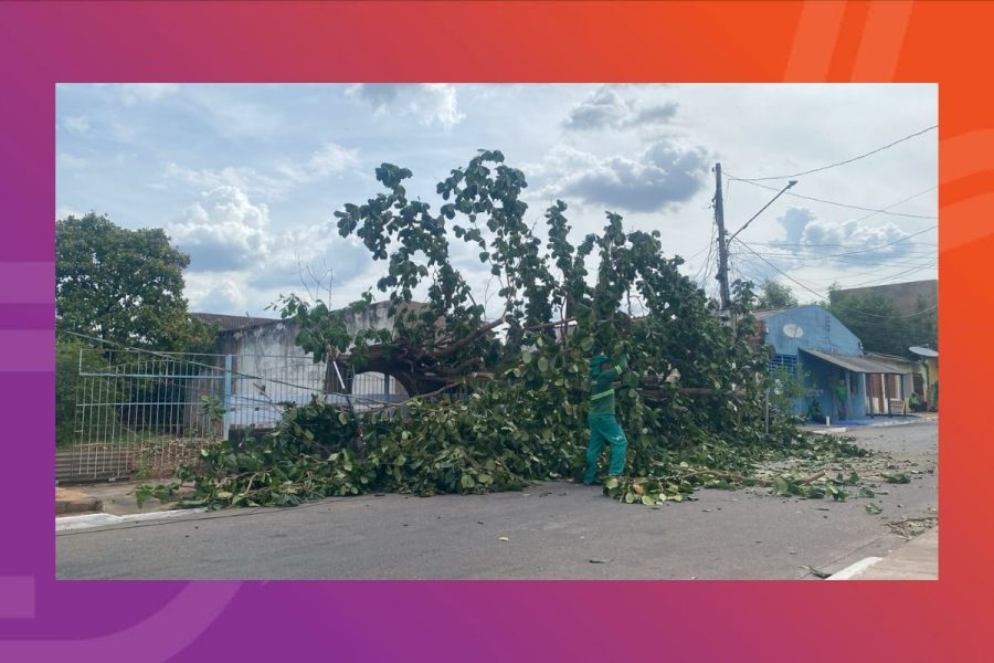 Queda de árvore em fiação deixa moradores de bairro em Várzea Grande três dias sem energia durante calor intenso