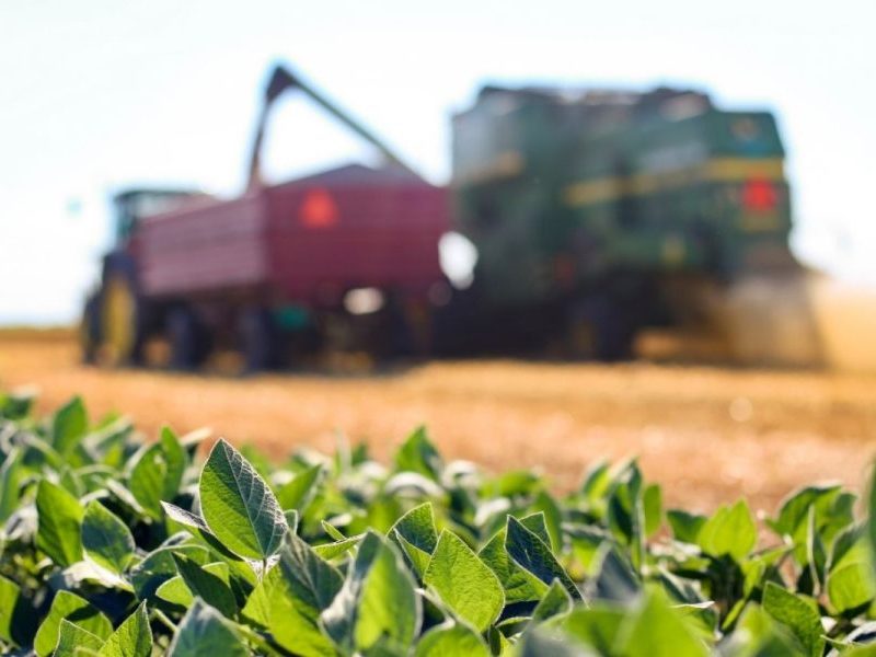 Terras indígenas de MT passam pela etapa de teste do Censo Agropecuário que vai mapear a produção no campo