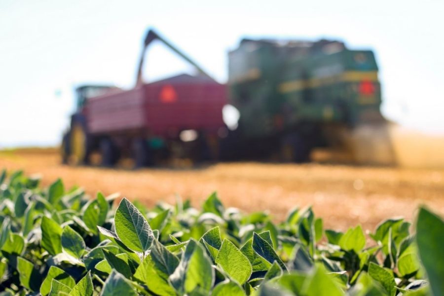 Terras indígenas de MT passam pela etapa de teste do Censo Agropecuário que vai mapear a produção no campo