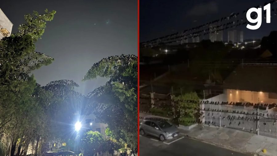 VÍDEO: nuvem com milhares de andorinhas sobrevoam condomínio em Cuiabá em busca de alimento